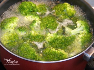 broccoli cu pui la cuptor poza2