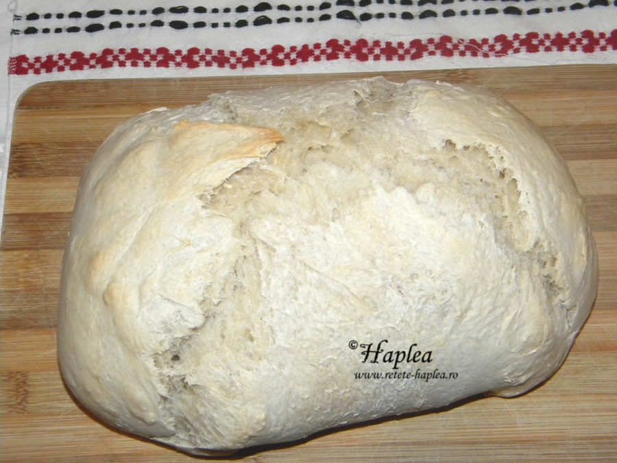 paine cu un gram de drojdie
